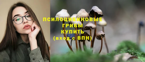 твердый Куйбышев