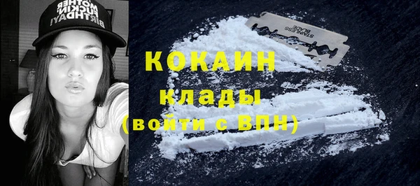 ГАЛЛЮЦИНОГЕННЫЕ ГРИБЫ Краснотурьинск