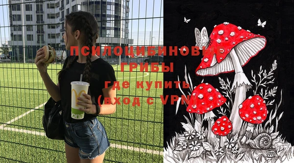 прущая мука Ладушкин