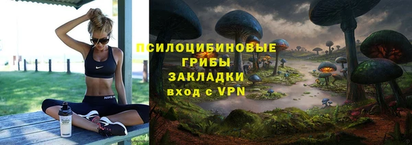 ГАЛЛЮЦИНОГЕННЫЕ ГРИБЫ Краснотурьинск
