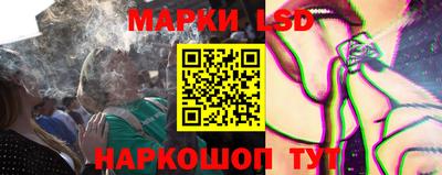 мдпв Камышлов