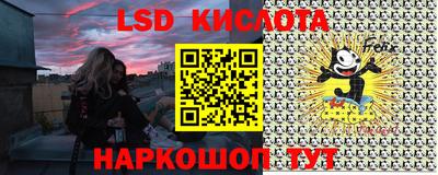 мдпв Камышлов