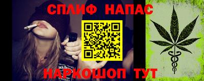 мдпв Камышлов