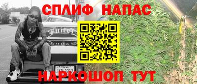 мдпв Камышлов