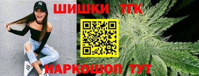 мдпв Камышлов