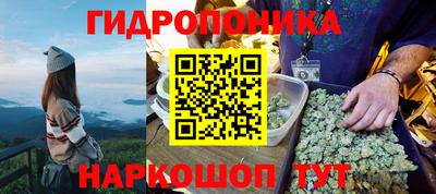мдпв Камышлов