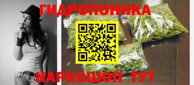 мдпв Камышлов