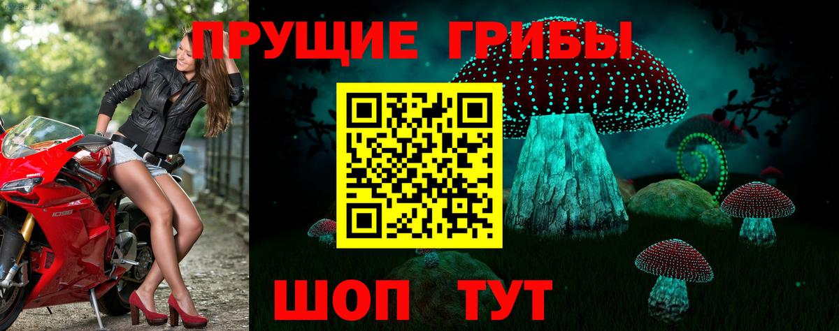 Псилоцибиновые грибы мухоморы  Вход с VPN  Псилоцибиновые грибы мицелий  Кудымкар 